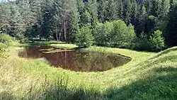 Evropsky významná lokalita Bečovské lesní rybníky v Bečovské vrchovině