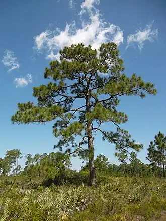 alternativní popis obrázku chybí