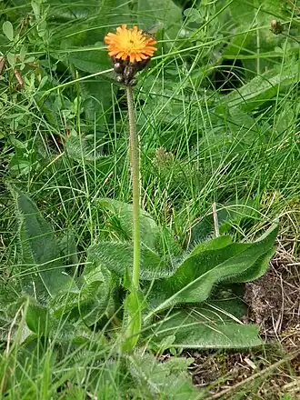 alternativní popis obrázku chybí