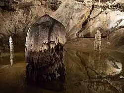 Palmová síň se stalagmity v Belianské jeskyni