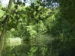 PP Bělohradská bažantnice