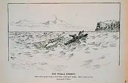 Na zažloutlém papíře lze vidět jednoduchou kresbu dvojitého kajaku. Zatímco jeden člověk pádluje, druhý hrapunuje běluhu