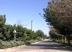 Ulice ve vesnici Ben Ami