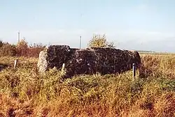 Bludný balvan Kūlių Bobelė