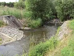 Benešovský potok s výpustí z čistírny odpadních vod