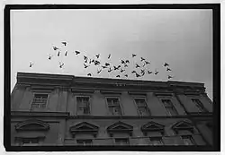 Bez názvu, 1976, kinofilm