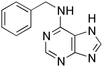 Zjednodušený racionální konstituční vzorec 6-BAP