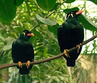 alternativní popis obrázku chybí