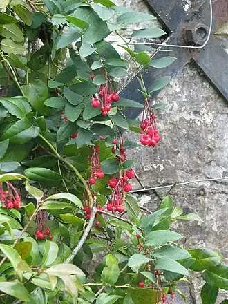 alternativní popis obrázku chybí