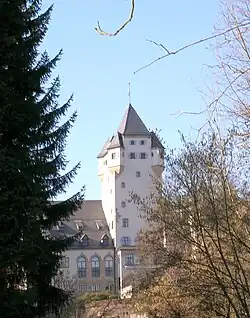 Pohled na hlavní zámeckou věž