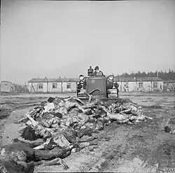 Britský armádní buldozer shrnuje mrtvá těla do masového hrobu, 19. dubna 1945