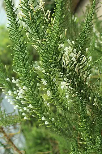 alternativní popis obrázku chybí