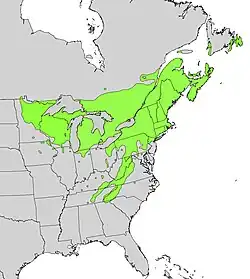 Areál rozšíření