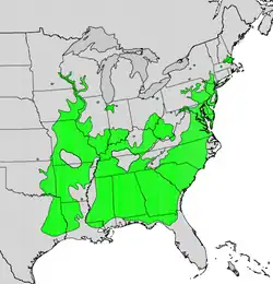 Areál rozšíření