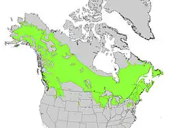 Areál rozšíření