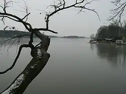 Hladina rybníka u hráze