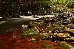 Chomutovka pod Tišinou