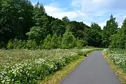 Louky v dolní části údolí