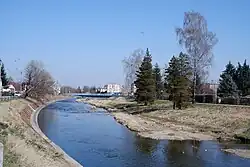 Bělá v Hlucholazích