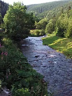 pohled na říční údolí