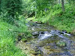 potok poblíž ústí do řeky