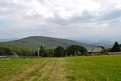 Jelenec z úbočí Velké Javořiny