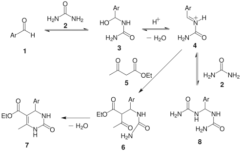 Biginelli reaction mechanism