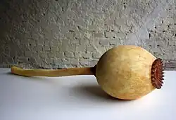 Objekt 40 cm x 200 cm x 45 cm, 2011