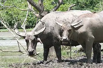 alternativní popis obrázku chybí