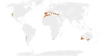 Oblasti se středozemním klimatem