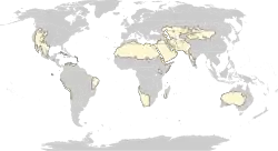 Mapa xerických biomů, z nichž mnohé zahrnují též vegetaci suchomilných křovin