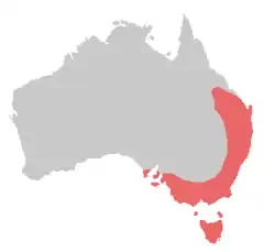 Mapa rozšíření (červeně)