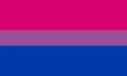 Vlajka bisexuální hrdosti