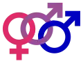 Mužská bisexualita