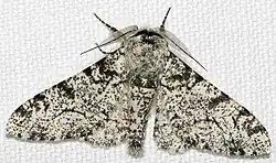 alternativní popis obrázku chybí