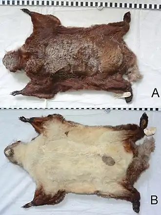 alternativní popis obrázku chybí