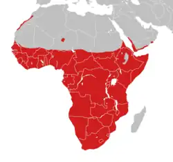 Areál rozšíření