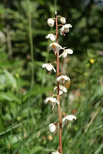 alternativní popis obrázku chybí