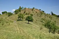 Celkový pohled z Malého chlumu