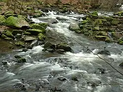 Hamerský potok nedaleko od Ratmírovského rybníka