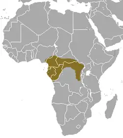 Areál rozšíření