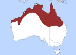 Rozšíření krajty černohlavé