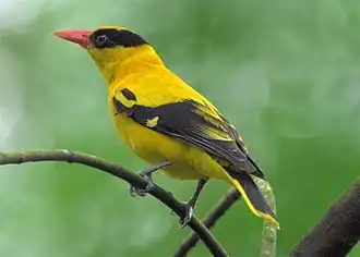 alternativní popis obrázku chybí