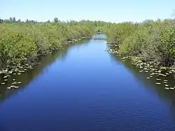 Black River v Thurston County