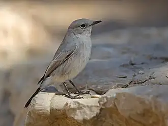 alternativní popis obrázku chybí