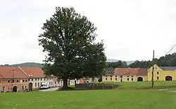 Náves s památným stromem