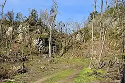 vyústění rokle Tisového potoka