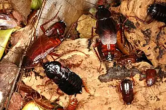 alternativní popis obrázku chybí