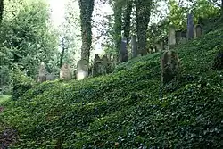 Blovice Jewish cemetery 04.JPG