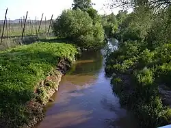 Blšanka u Liběšovic